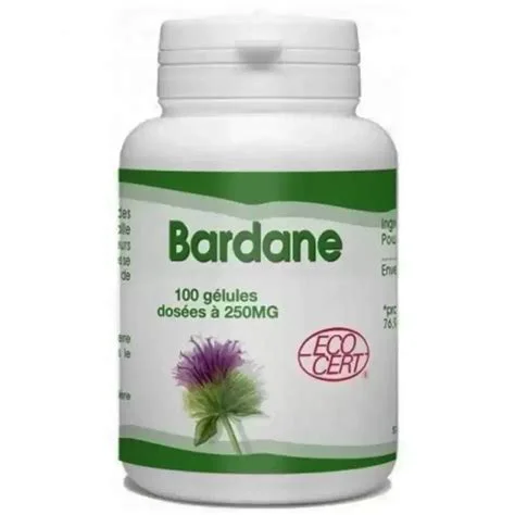 *GPH DIFFUSION BARDANE 100 GELULES*