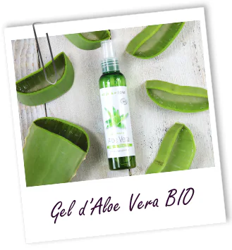 GEL D’ALOE VERA BIO – AROMA ZONE