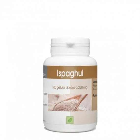 ISPAGHUL – 220 MG – 100 GÉLULES