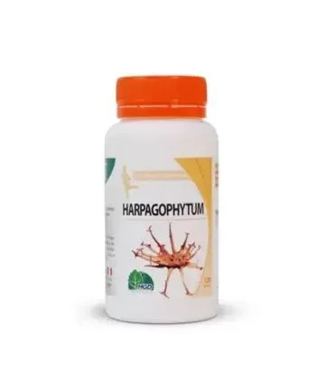 HARPAGOPHYTUM 90 GÉLULES